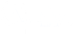 Alpha Trans USA Ltd