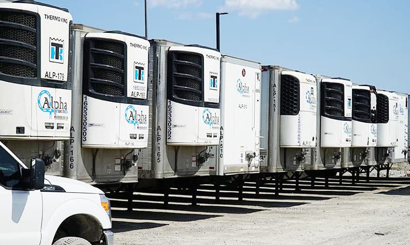 Food & Beverage freight — Alpha Trans